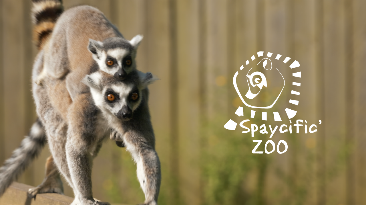 Spaycific'Zoo